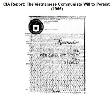 cia-report-the-vietnamese-communists-will-to-persist