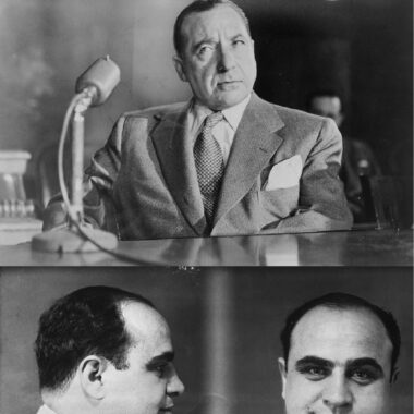 american-organized-crime-historical-documents-archive-usb-drive